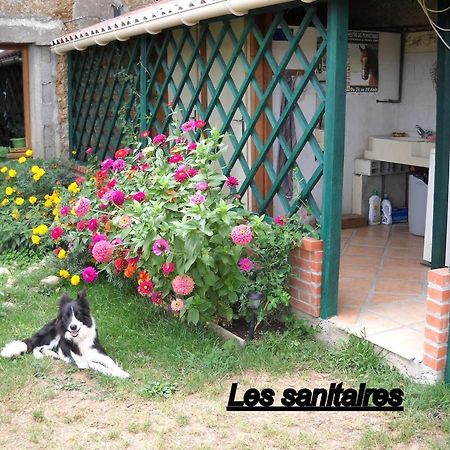 Ferme Equestre Les Chevaliers Hotel Penol ภายนอก รูปภาพ