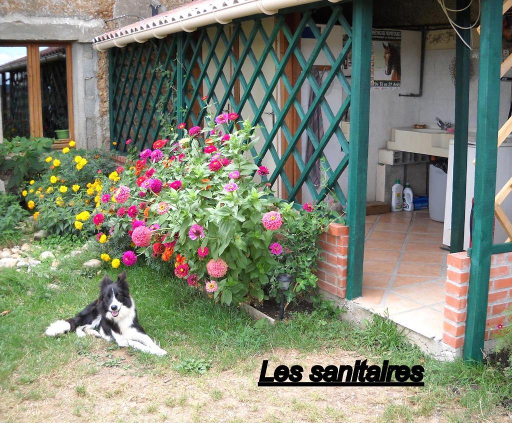 Ferme Equestre Les Chevaliers Hotel Penol ภายนอก รูปภาพ