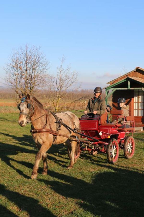 Ferme Equestre Les Chevaliers Hotel Penol ภายนอก รูปภาพ